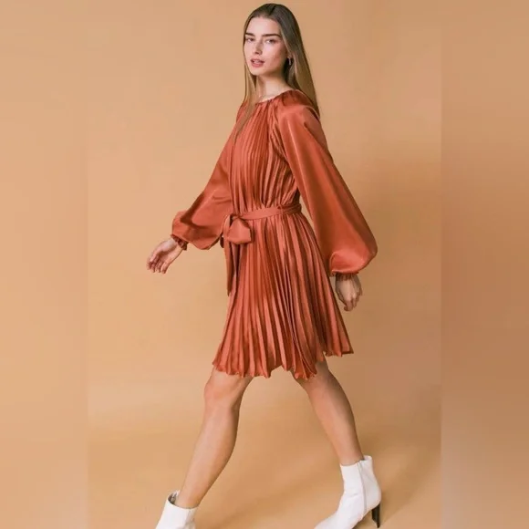 NWT Boutique Grace Pleated Long Sleeve Dress – Rust - Picture 5 of 7